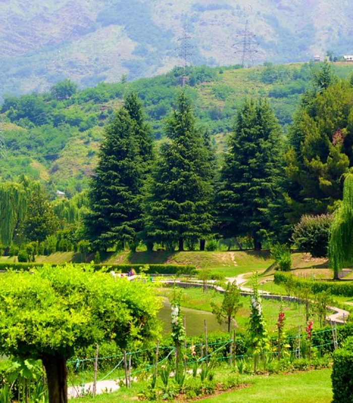 Botanical-Garden-Srinagar-84880